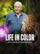 Life in Colour - British Movie Poster (xs thumbnail)