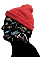 The Life Aquatic with Steve Zissou - Key art (xs thumbnail)