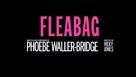 National Theatre Live: Fleabag - British Logo (xs thumbnail)