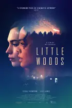 Little Woods - Movie Poster (xs thumbnail)