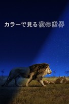&quot;Earth at Night in Color&quot; - Japanese Movie Cover (xs thumbnail)