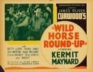 Wild Horse Roundup - Movie Poster (xs thumbnail)