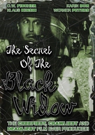 Das Geheimnis der schwarzen Witwe - DVD movie cover (xs thumbnail)