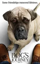 A Dog's Journey Poster