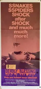 Deadly Blessing Poster
