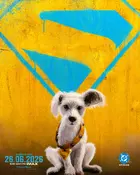 Supergirl Poster