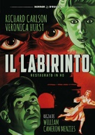 The Maze - Italian DVD movie cover (xs thumbnail)