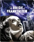 Bride of Frankenstein Cover