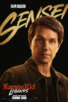 Karate Kid: Legends Poster