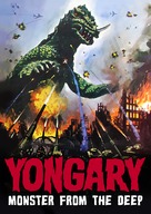 Taekoesu Yonggary - DVD movie cover (xs thumbnail)