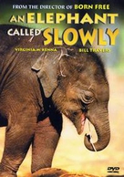 An Elephant Called Slowly - Movie Cover (xs thumbnail)