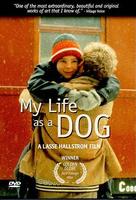 forvisning Modtager maskine fintælling Mitt liv som hund (1985) movie posters