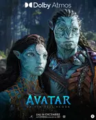 Avatar: The Way of Water - Italian Movie Poster (xs thumbnail)