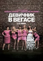 Bridesmaids Poster