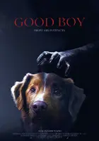 Good Boy Poster