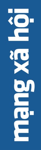 The Social Network - Vietnamese Logo (xs thumbnail)
