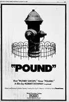 Pound Poster