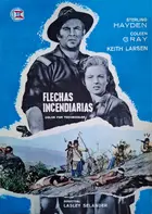 Arrow in the Dust Poster