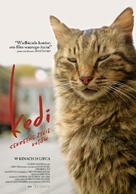 Kedi - Polish Movie Poster (xs thumbnail)