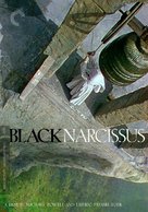 Black Narcissus - DVD movie cover (xs thumbnail)