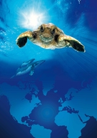 Turtle: The Incredible Journey - Key art (xs thumbnail)