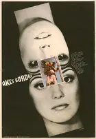 Akce Bororo Poster