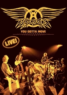 Aerosmith: You Gotta Move - DVD movie cover (xs thumbnail)