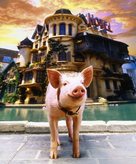 Babe: Pig in the City - Key art (xs thumbnail)