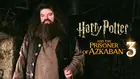 Harry Potter and the Prisoner of Azkaban Cover