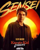 Karate Kid: Legends Poster