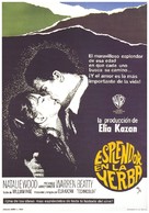 Splendor in the Grass - Spanish Movie Poster (xs thumbnail)
