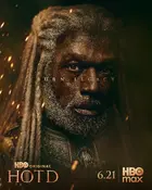 "House of the Dragon" Poster