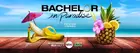 "Bachelor in Paradise" Poster