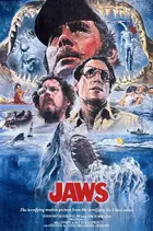 Jaws Custom