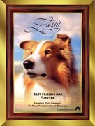 Lassie - Advance movie poster (xs thumbnail)