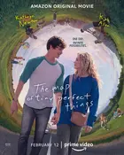 The Map of Tiny Perfect Things - Movie Poster (xs thumbnail)