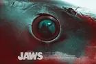 Jaws Custom