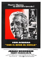 The Drowning Pool - Spanish Movie Poster (xs thumbnail)