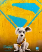 Supergirl Poster