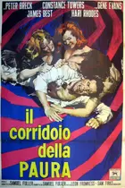 Shock Corridor Poster