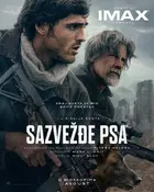 The Dog Stars Poster