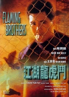 Jiang hu long hu men - DVD movie cover (xs thumbnail)