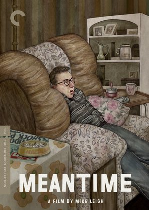 Meantime - DVD movie cover (thumbnail)