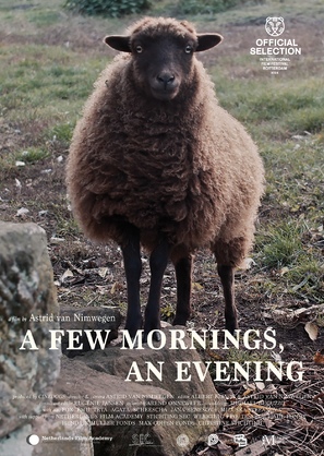 A Few Mornings, an Evening - Dutch Movie Poster (thumbnail)