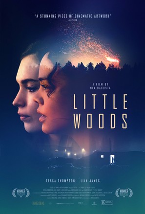 Little Woods - Movie Poster (thumbnail)