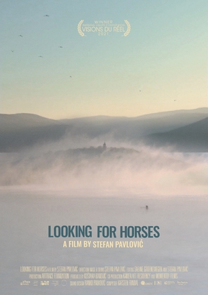 Looking for Horses - Dutch Movie Poster (thumbnail)