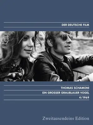 Ein großer graublauer Vogel Cover