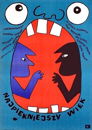 Nejkr&aacute;snejs&iacute; vek - Polish Movie Poster (thumbnail)