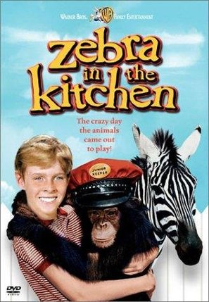 Zebra in the Kitchen - DVD movie cover (thumbnail)