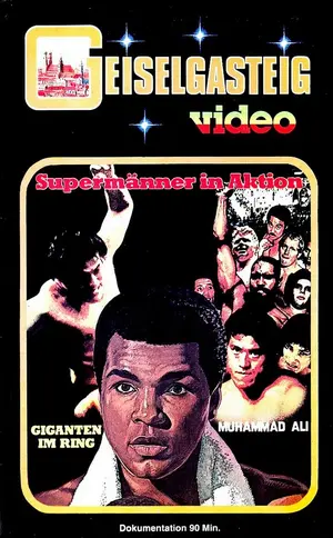 Kings of the Square Ring Cover